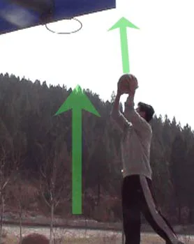 为什么篮球后卫需要特别的体能训练_0